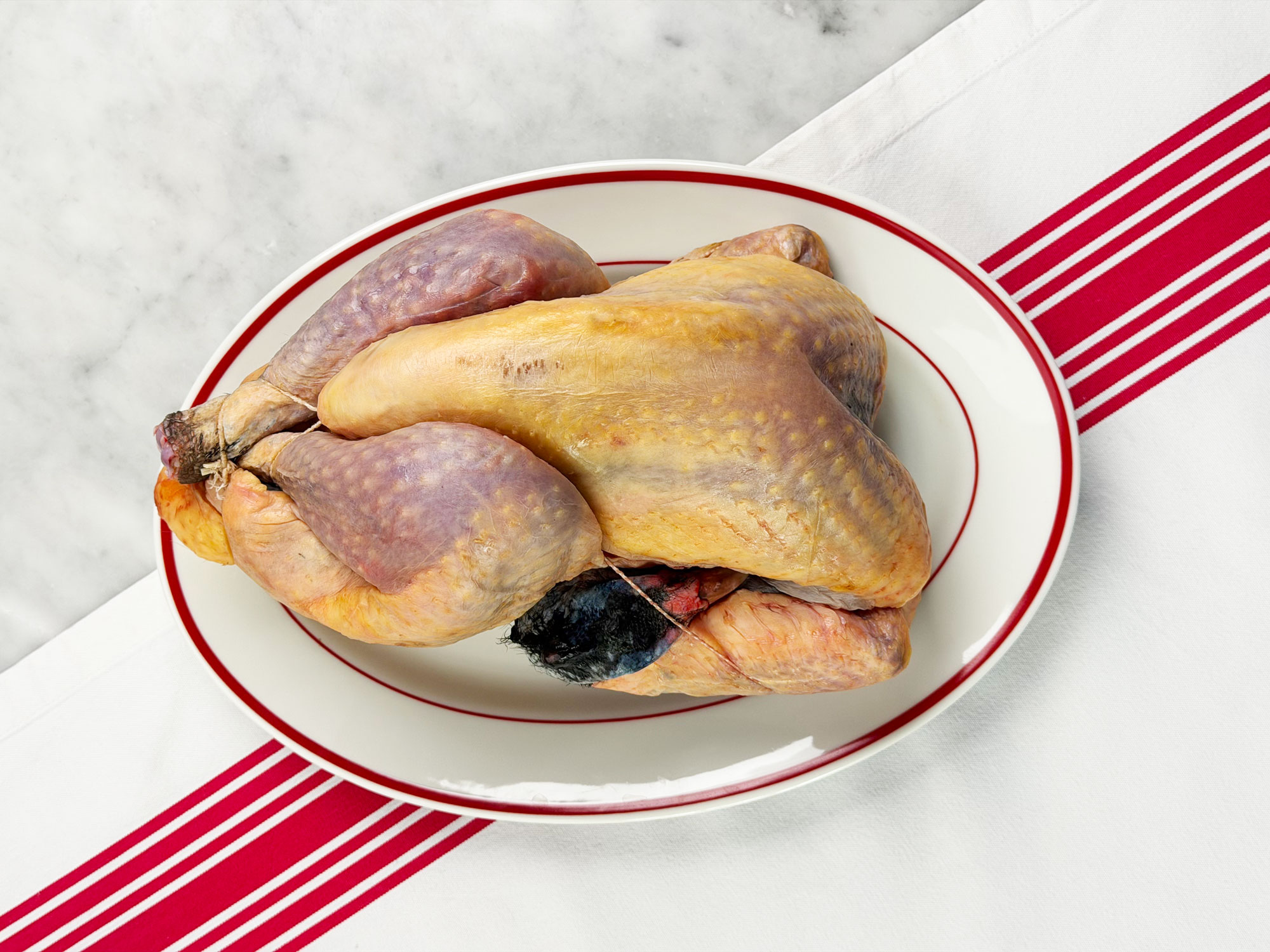Pintade
